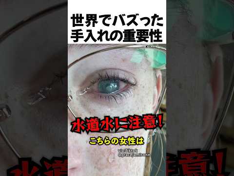 世界でバズった手入れの重要性 thumbnail