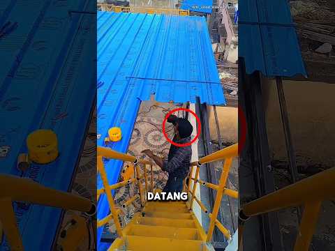 Dia Benar-benar Membuat Pemilik Rumah Panik! 😱 thumbnail