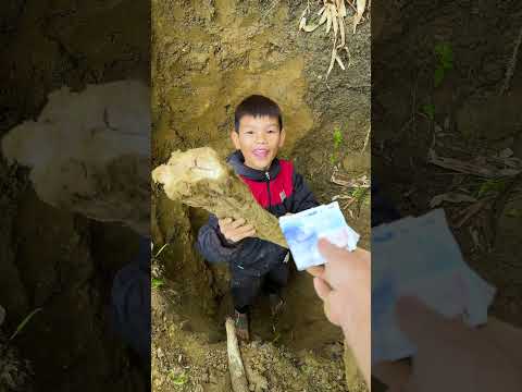 Intro hài vs khoai lang rừng? p5 #shorts #tiktok #foryou #fyp #xuhuong #langlieu thumbnail