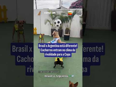 Brasil x Argentina está diferente! Cachorros entram no clima da rivalidade para a Copa thumbnail