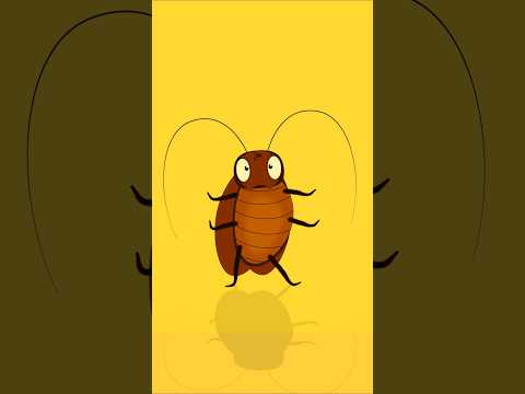 أغنية الصرصور الغدار | أنشودة مضحكة للأطفال | The Snekay Cockroach  Song thumbnail