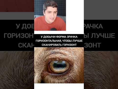 Мем про глаза thumbnail