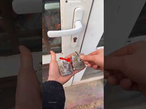 Boy Hid His House Key Inside a Fake Rock 😱 #facts #shots thumbnail
