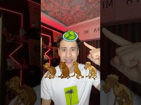 أغرب فلتر علي التيك توك اكل للحيونات ? thumbnail