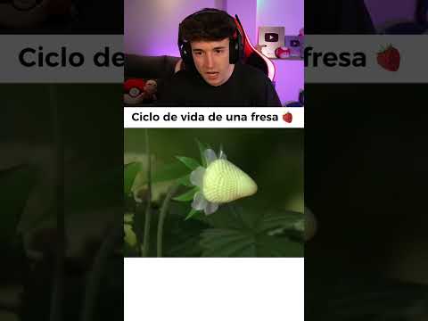 Ciclo De Vida De Una Fresa 🍓 thumbnail