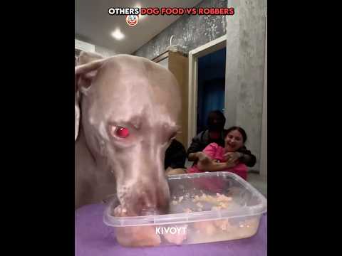 Others dog food vs robbers 💀 #edit #animal #skulledit #usa thumbnail