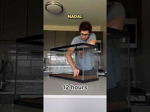 Ten Chłopak Zjadł 1000 Batoników ? thumbnail
