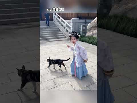 非常有礼貌的一位古风小女子啊#萌娃 #猫咪 #可爱 #治愈 #美好 #万万没想到 thumbnail