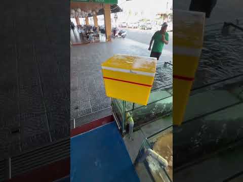 لن تتوقع ماذا فعل بسمكة القرش thumbnail