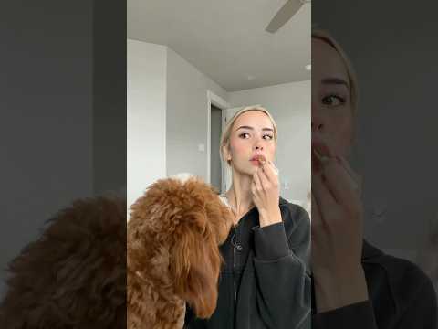 Just another peaceful morning #dogs #dogcomedy thumbnail