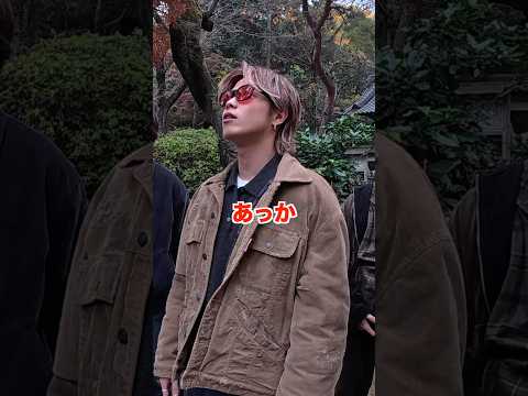 色盲を抱えるやまとが人生で初めて紅葉を見た瞬間　#コムドット #色盲 thumbnail