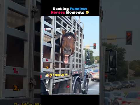 Ranking Funniest Horses Moments ? thumbnail