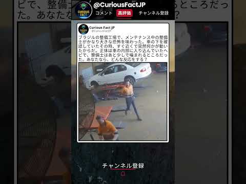 整備士が突然飛びのいた理由がこれ ? thumbnail