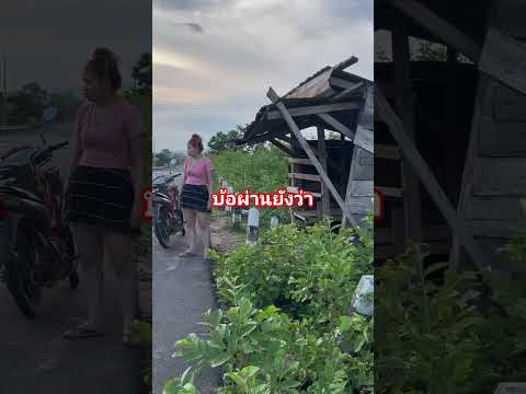 บ้อผ่านยังว้า #คริปตลก thumbnail