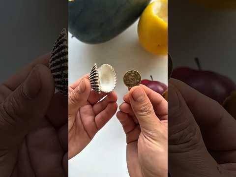 Dia menyembunyikan koin itu di dalam buah, tapi mengapa???✨ thumbnail
