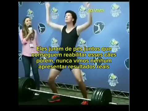 Adestramento 100% positivo é real? #shorts #shortsfeed #cães #cachorros #pets #adestramento #dogs thumbnail
