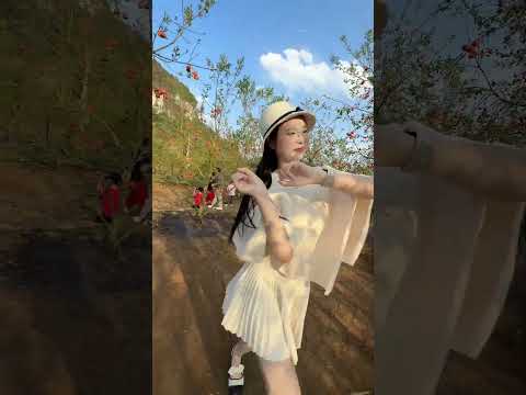 Vòng xe lăn bánh. thumbnail