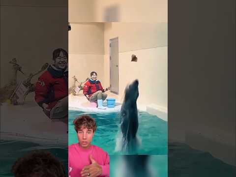 Una nutria enfadada ? thumbnail