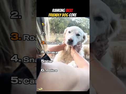 Ranking Best Friendly Dog Core thumbnail