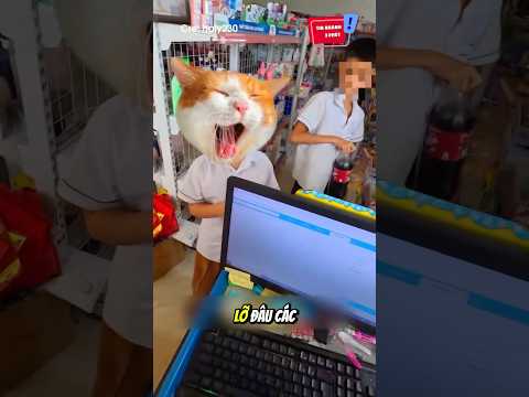 Chủ quán nhất quyết không bán thứ này:  #shorts thumbnail