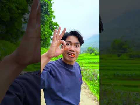 0 đồng ăn gì? #shorts #tiktok #foryou #fyp #xuhuong #langlieu thumbnail