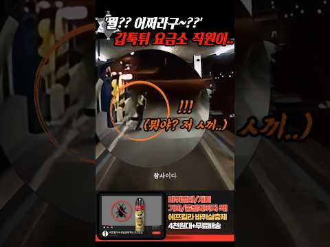 '뭘 어쩌라구??' 톨게이트 요금소 직원이 갑자기 튀어나오더니.. thumbnail
