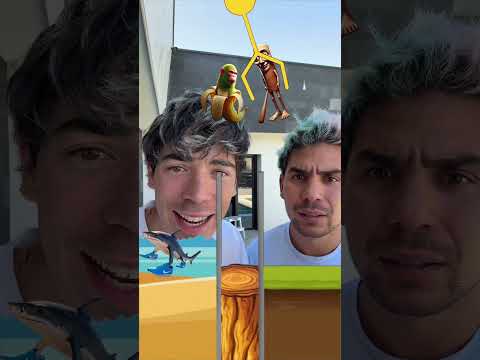 Sabéis cómo se llaman? thumbnail