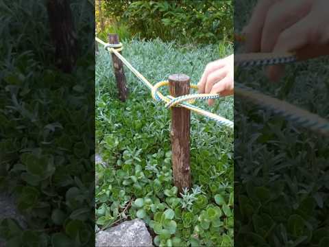 I Love this Great Constrictor Knot! The knot that never fails #knot #tips #skills #tricks thumbnail