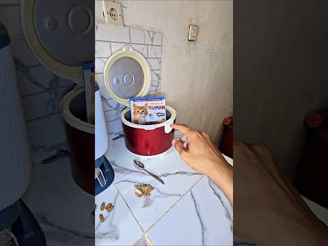 kenapa buku hewan berbunyi di mejikom😱😱❓️ thumbnail