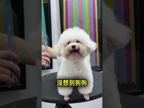 大家都笑他瘋了，結果成品美到不行… 😮 thumbnail