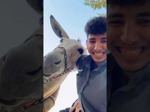 حبيتو الفيديو بنسبة كام في المية%؟؟؟🥹❤️ thumbnail