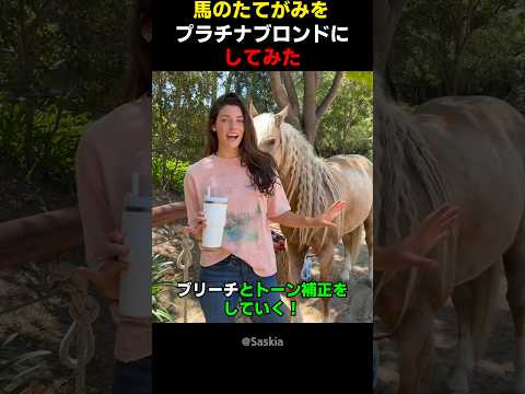 馬のたてがみをプラチナブロンドにしてみた thumbnail