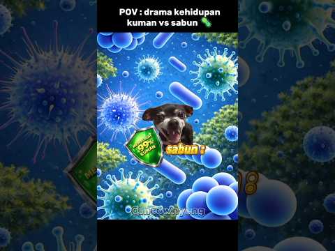 kehidupan kuman vs sabun 🦠 #memes #info #cat #lucu #komedi #trending thumbnail