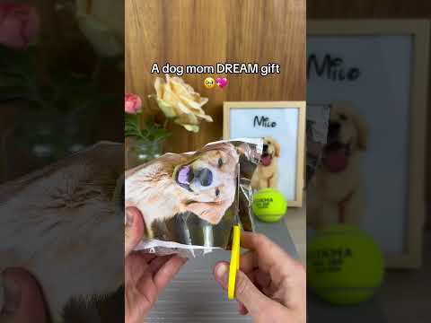 Wait for it 🥹 ❤️🐾 #pets #dogs #giftideas #dogloss #dogsoftiktok thumbnail
