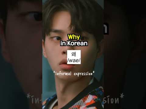 how to say "why" in korean ??.. #kdrama #koreanlearning #koreanlessons #koreanlanguage thumbnail