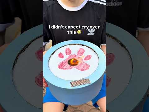 Watch until the end ?#pets #dogs #dogsoftiktok #dogloss #giftsideas thumbnail