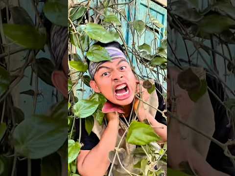 nyanyi lagu bella ciao ciao ciao ! thumbnail