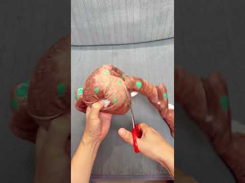 like you cut g REAL thumbnail