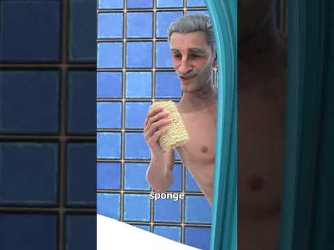How Do You Turn A Plant Into A Sponge ? thumbnail