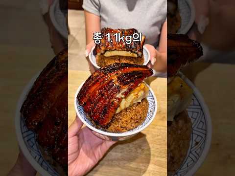 오사카에서 장어덮밥을 주문하면 생기는 일 thumbnail