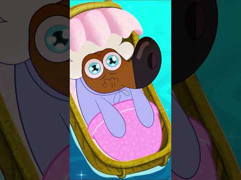 Baby Zig | Xilam TV | Cartoon #shorts thumbnail