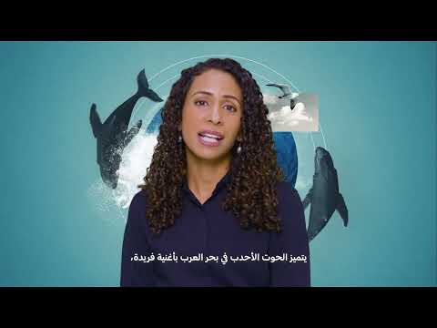 سكان عٌمان | سعاد الحارثي | شهر الأرض مع مستكشفي ناشونال جيوغرافيك | ناشونال جيوغرافيك أبوظبي thumbnail