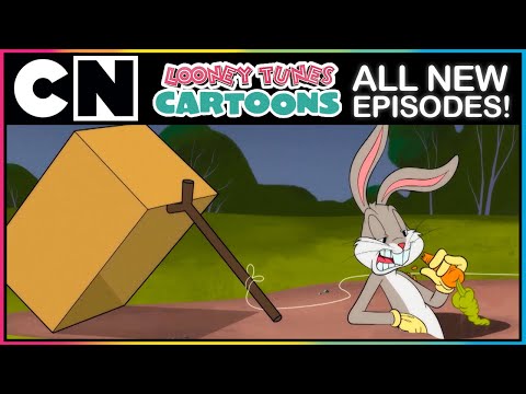 Looney Tunes Cartoon | All New Episodes!! | Cartoon Network thumbnail