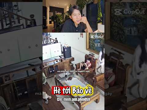 Hè tới Báo về😂 thumbnail