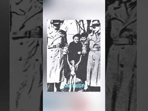 Первая партия рассекреченных файлов НЛО thumbnail
