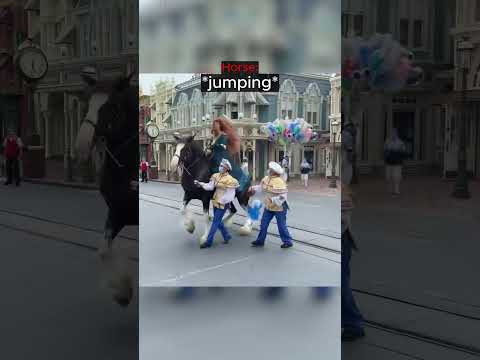 Balloon Stuck On Horse... thumbnail