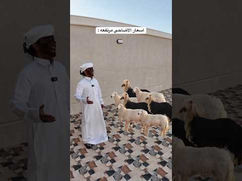 #اكسبلور #سكتش #ضحك thumbnail