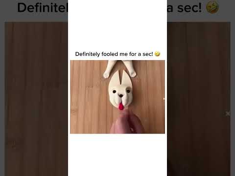 Definitely fooled me for a sec! ? follow for more #shorts thumbnail