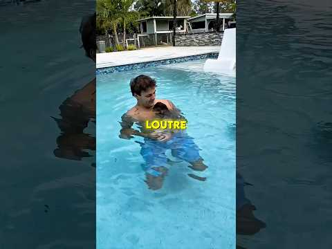 🦦 Le garçon aide sa loutre à nager pour la première fois thumbnail
