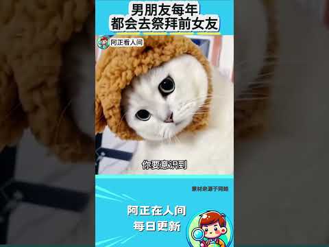 男朋友每年都会去祭拜前女友 thumbnail